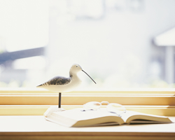 ���i�C���[�W